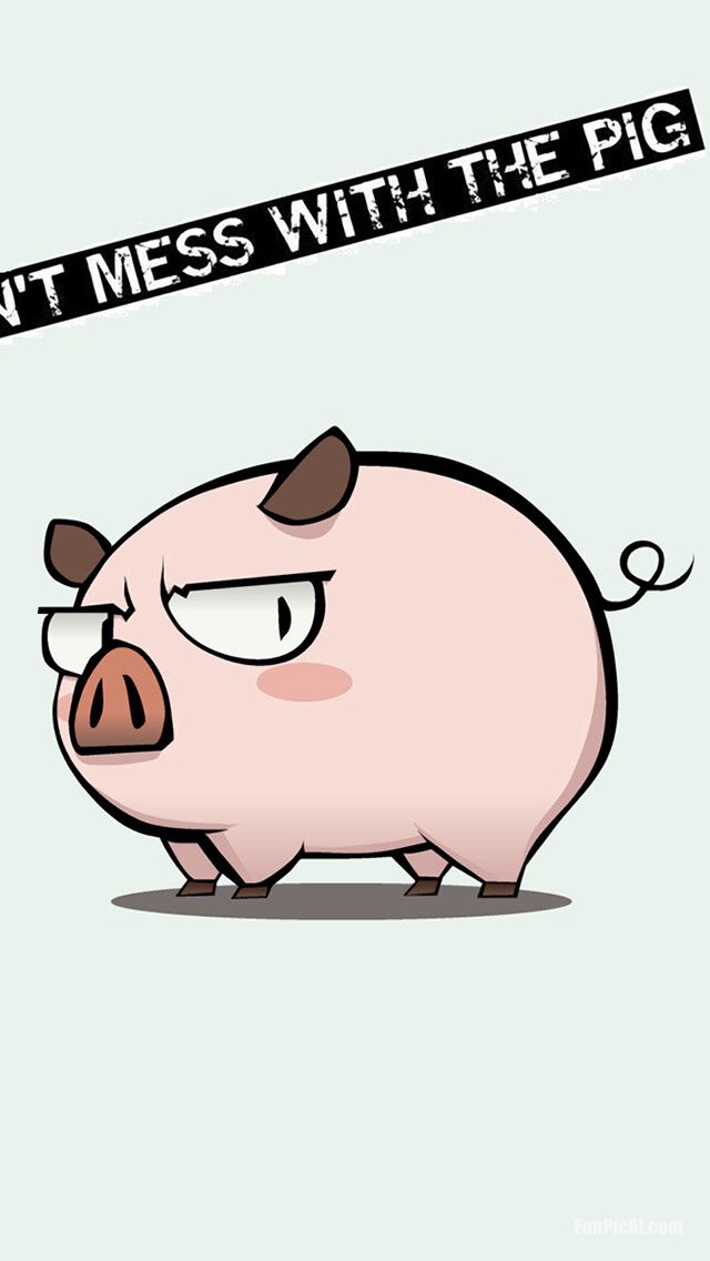 pig wallpaper