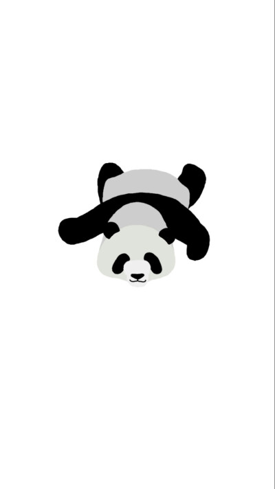 panda funny wallpaper