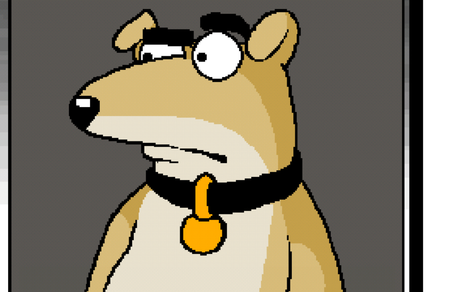 dog funny wallpaper