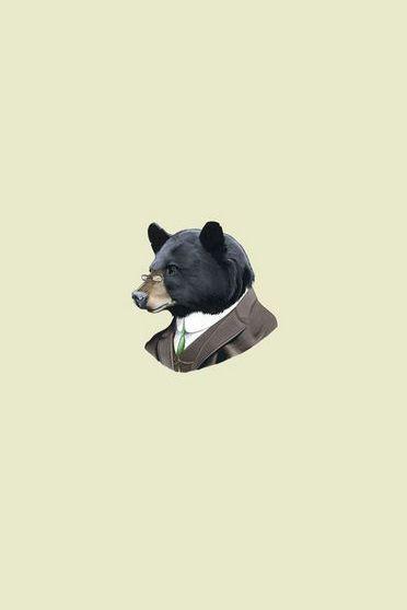 bear funny wallpaper