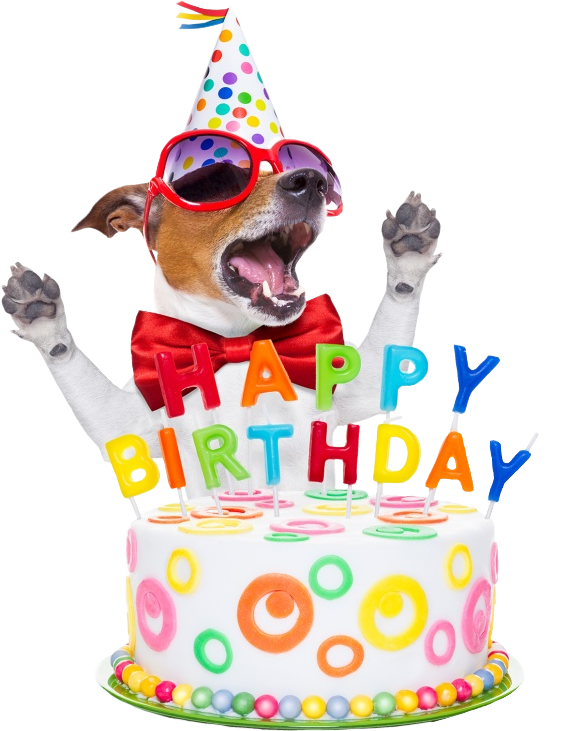dog happy birthday