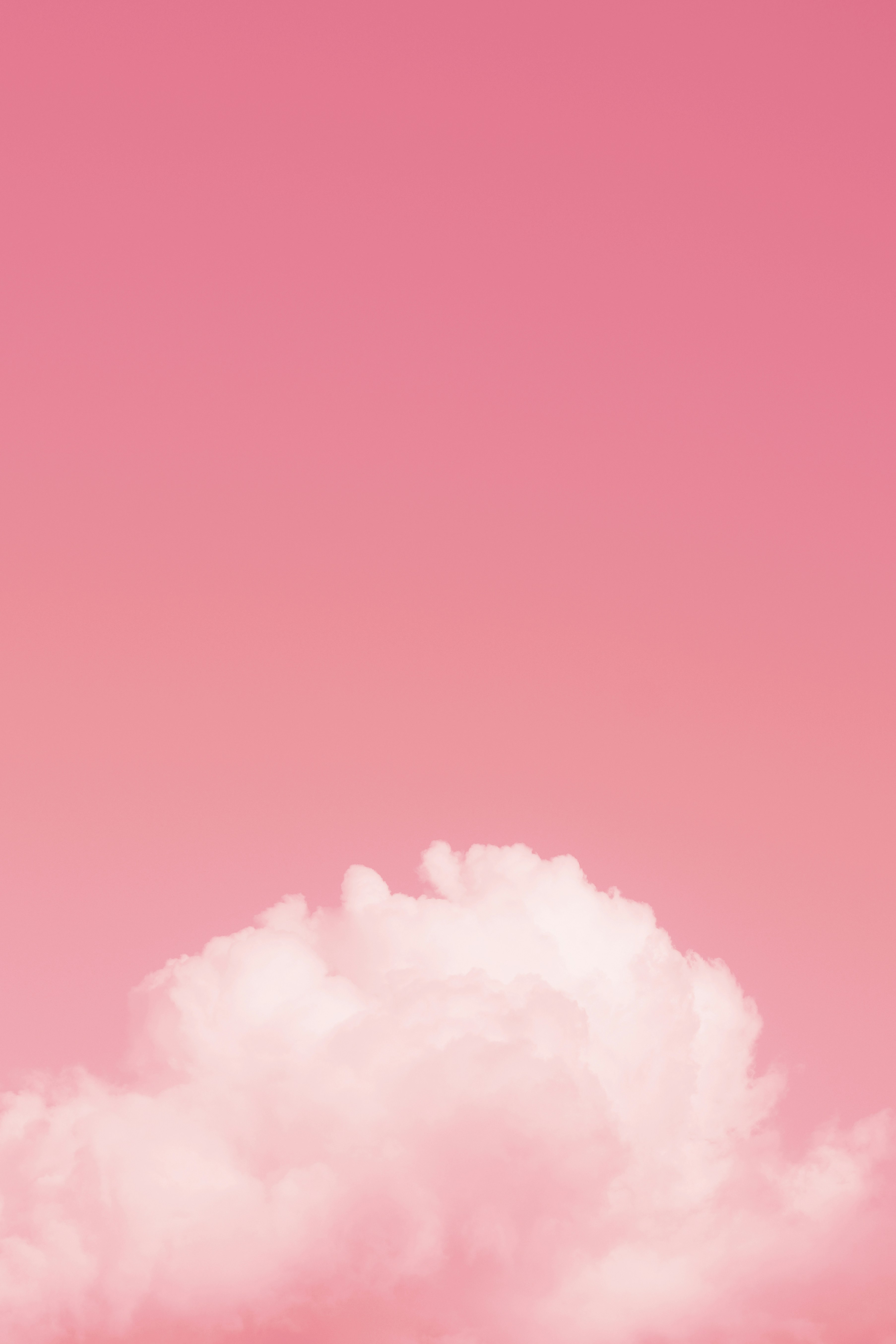 pink wallpaper